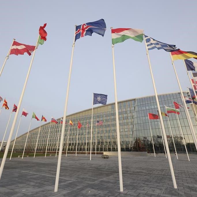 NATO chief confident Nordic pair will join despite holdups